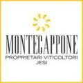 Montecappone Montecappone